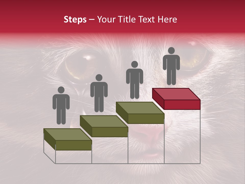 Animal Suffering Pet Abuse Animal Welfare PowerPoint Template