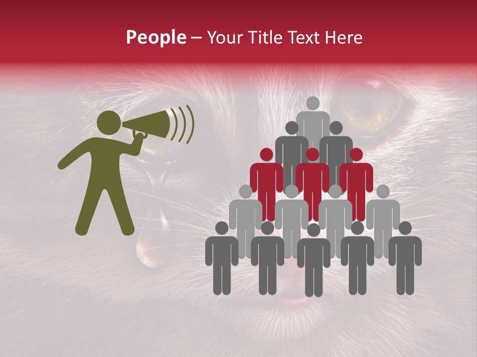 Animal Suffering Pet Abuse Animal Welfare PowerPoint Template