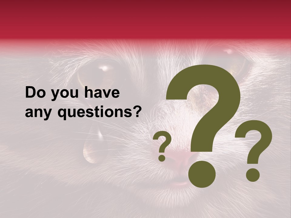 Animal Suffering Pet Abuse Animal Welfare PowerPoint Template