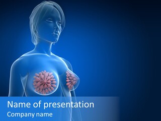 Anatomy Gland Mammary PowerPoint Template