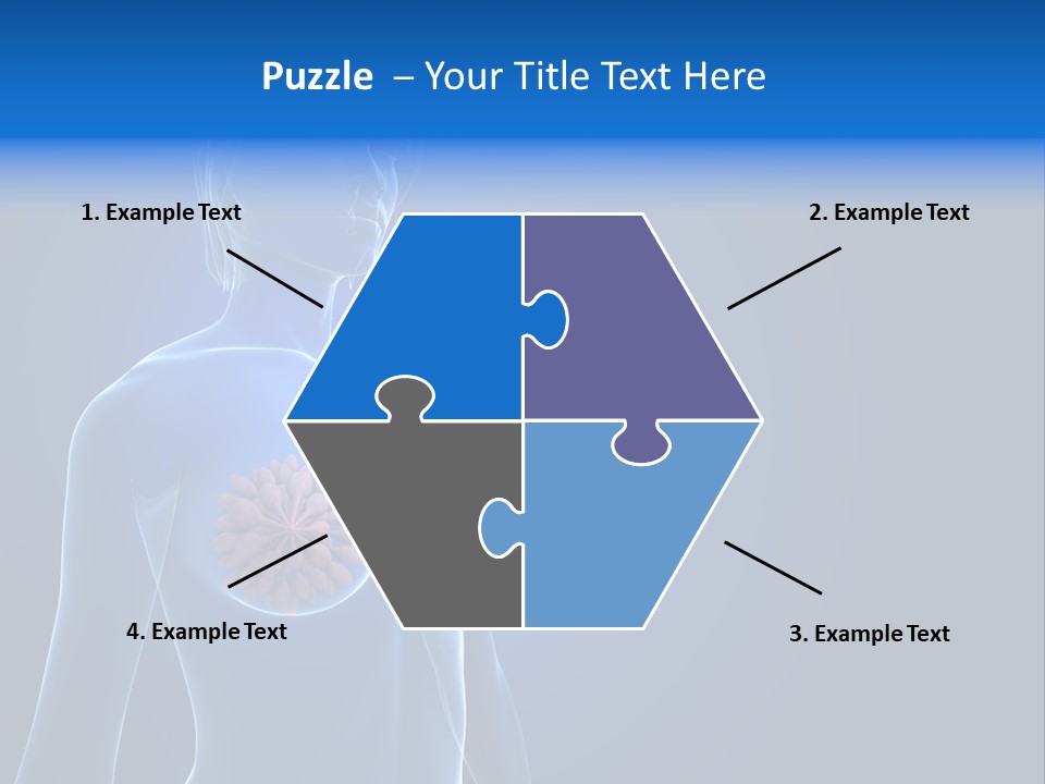 Anatomy Gland Mammary PowerPoint Template