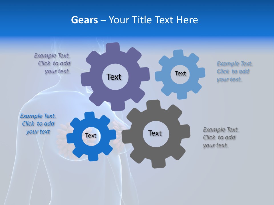 Anatomy Gland Mammary PowerPoint Template