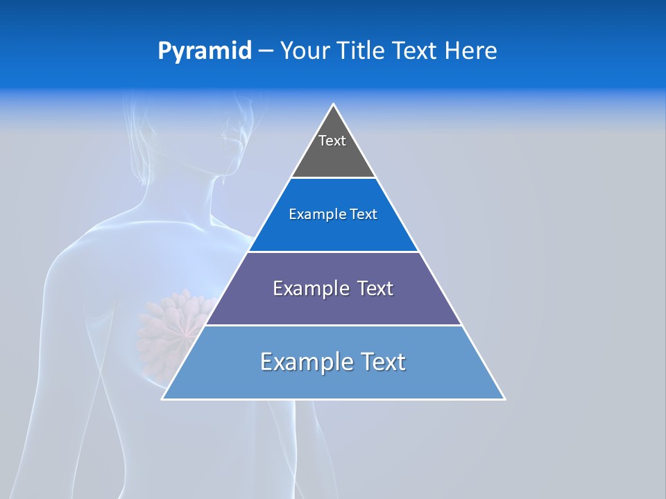 Anatomy Gland Mammary PowerPoint Template