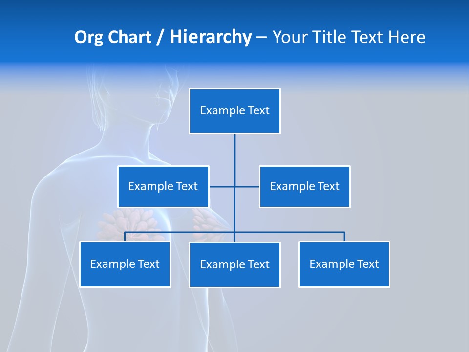 Anatomy Gland Mammary PowerPoint Template