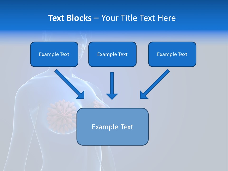 Anatomy Gland Mammary PowerPoint Template