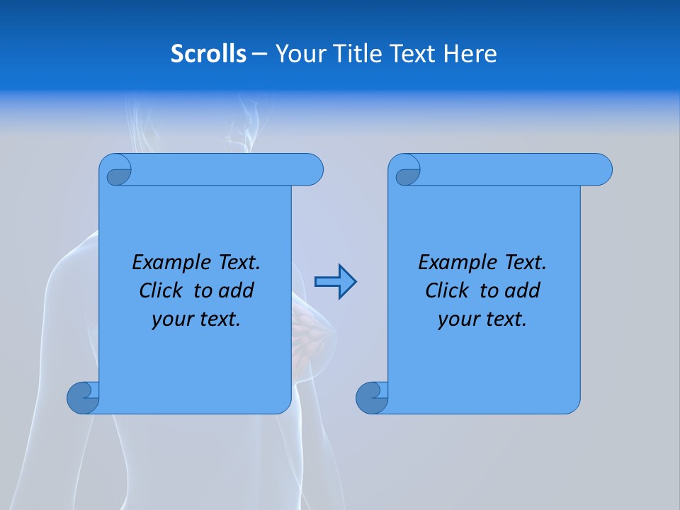 Anatomy Gland Mammary PowerPoint Template