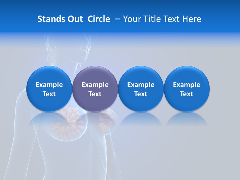 Anatomy Gland Mammary PowerPoint Template
