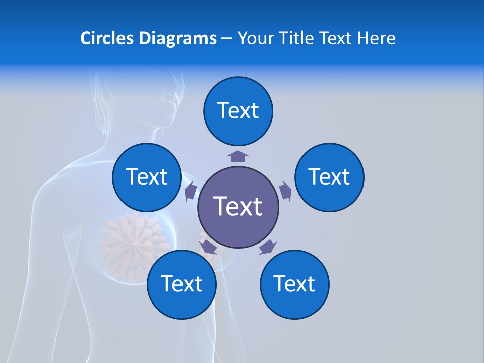 Anatomy Gland Mammary PowerPoint Template