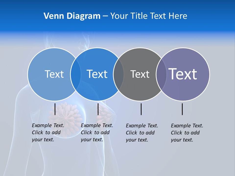 Anatomy Gland Mammary PowerPoint Template