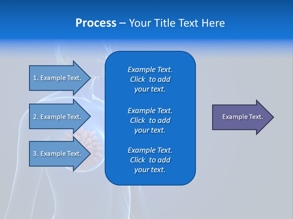Anatomy Gland Mammary PowerPoint Template