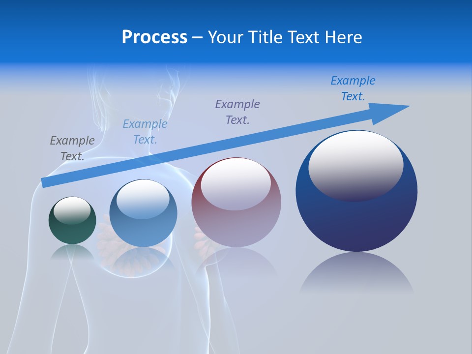 Anatomy Gland Mammary PowerPoint Template
