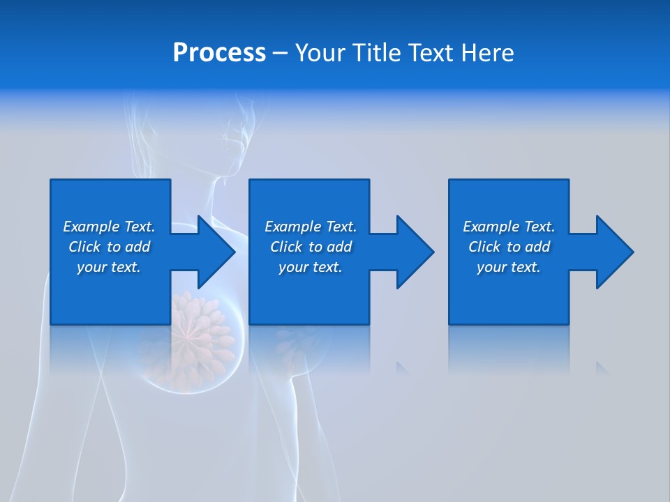 Anatomy Gland Mammary PowerPoint Template