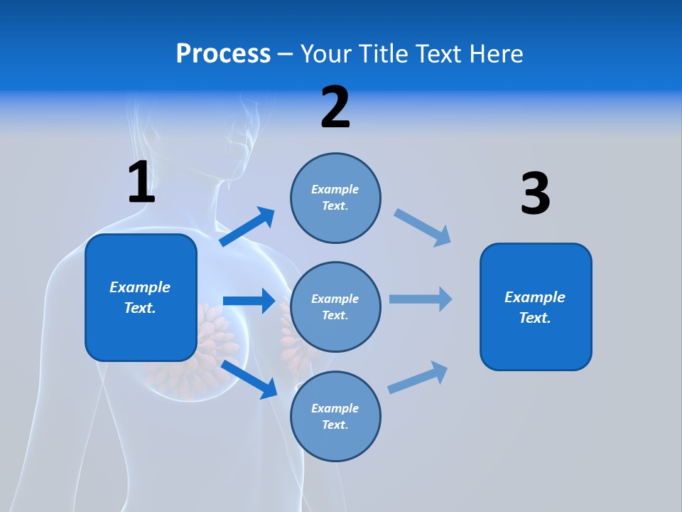 Anatomy Gland Mammary PowerPoint Template
