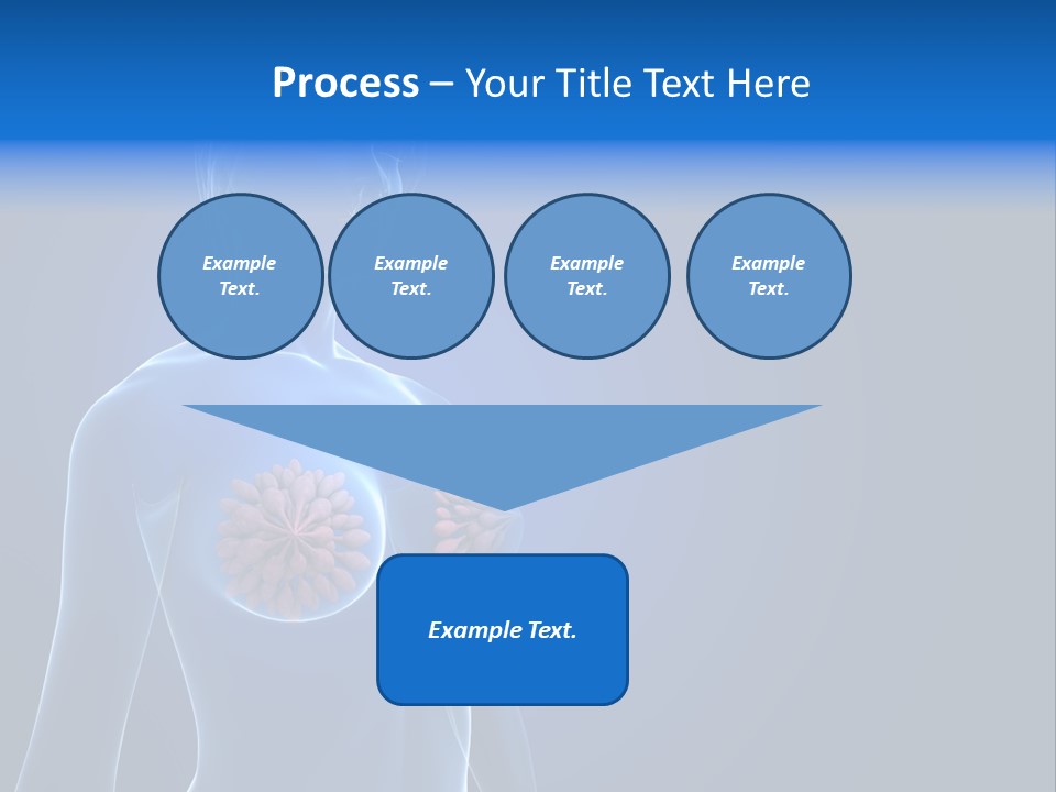 Anatomy Gland Mammary PowerPoint Template