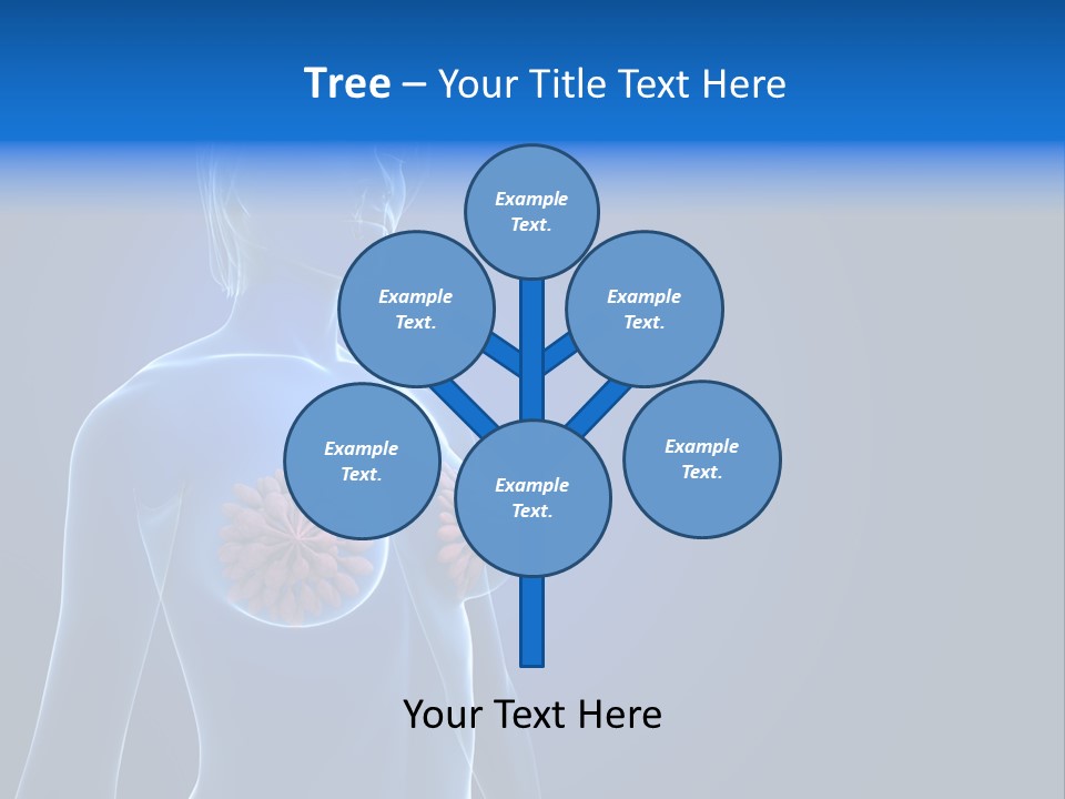 Anatomy Gland Mammary PowerPoint Template