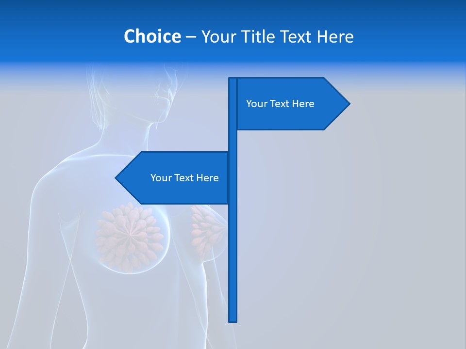 Anatomy Gland Mammary PowerPoint Template