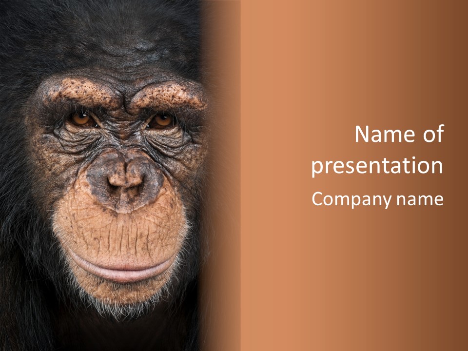 Close Up Cut Out Monkey PowerPoint Template