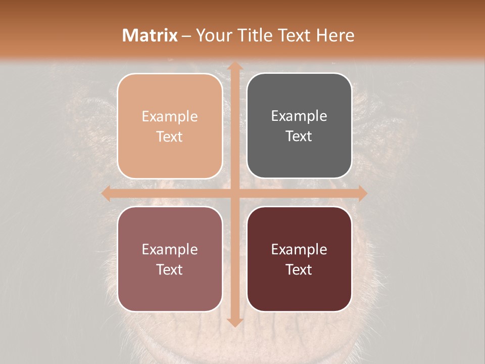 Close Up Cut Out Monkey PowerPoint Template