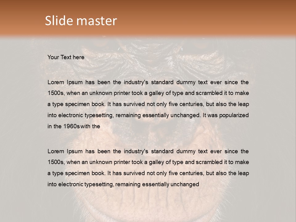 Close Up Cut Out Monkey PowerPoint Template