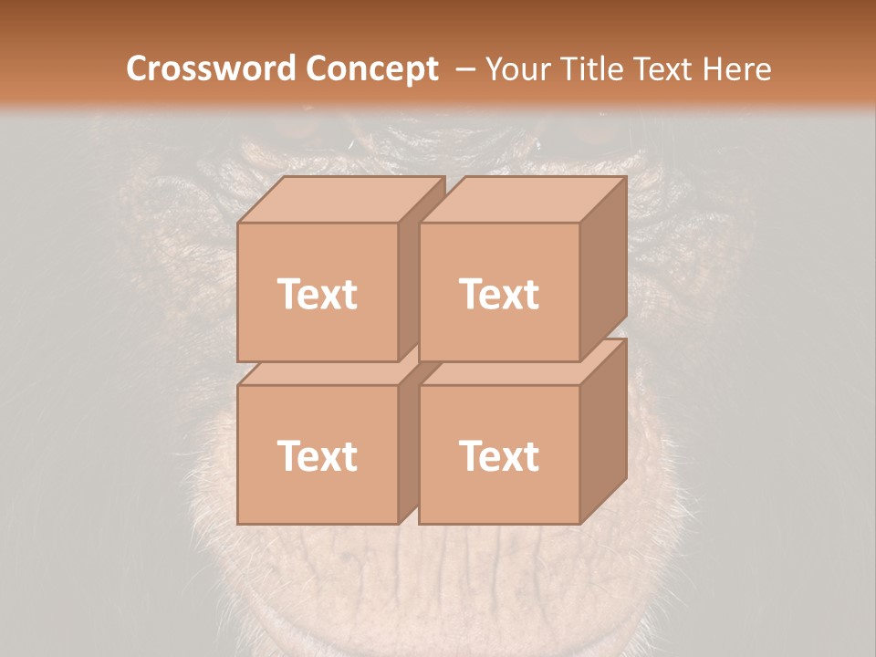 Close Up Cut Out Monkey PowerPoint Template