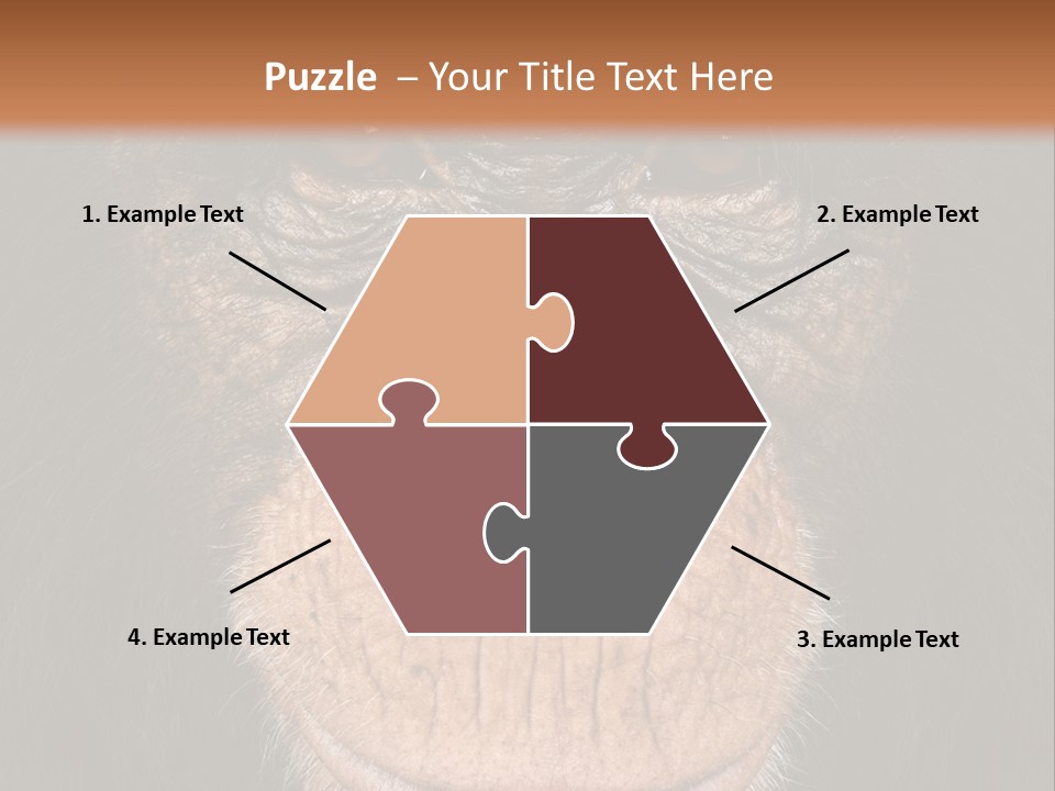 Close Up Cut Out Monkey PowerPoint Template