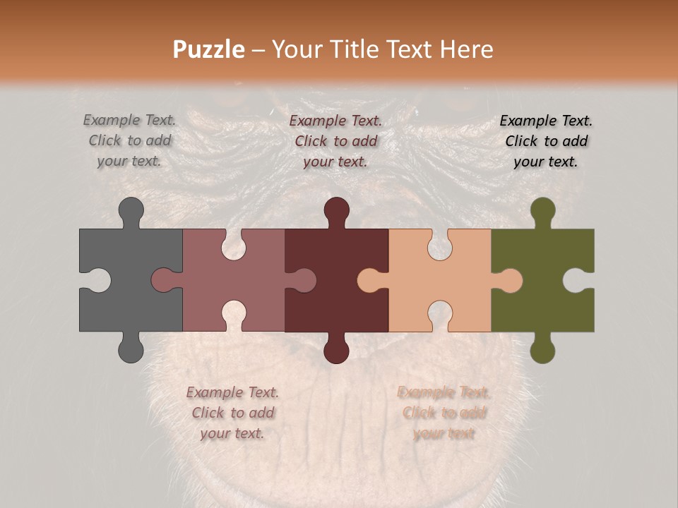 Close Up Cut Out Monkey PowerPoint Template