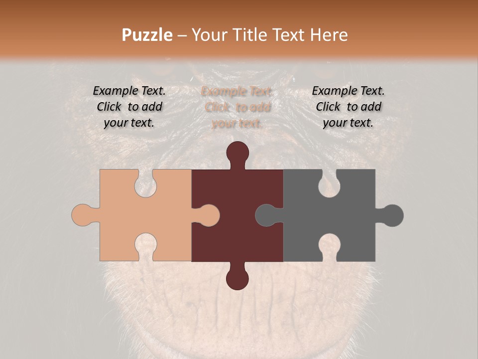 Close Up Cut Out Monkey PowerPoint Template