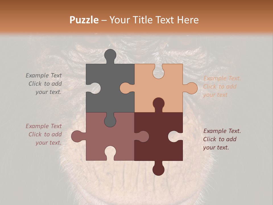 Close Up Cut Out Monkey PowerPoint Template