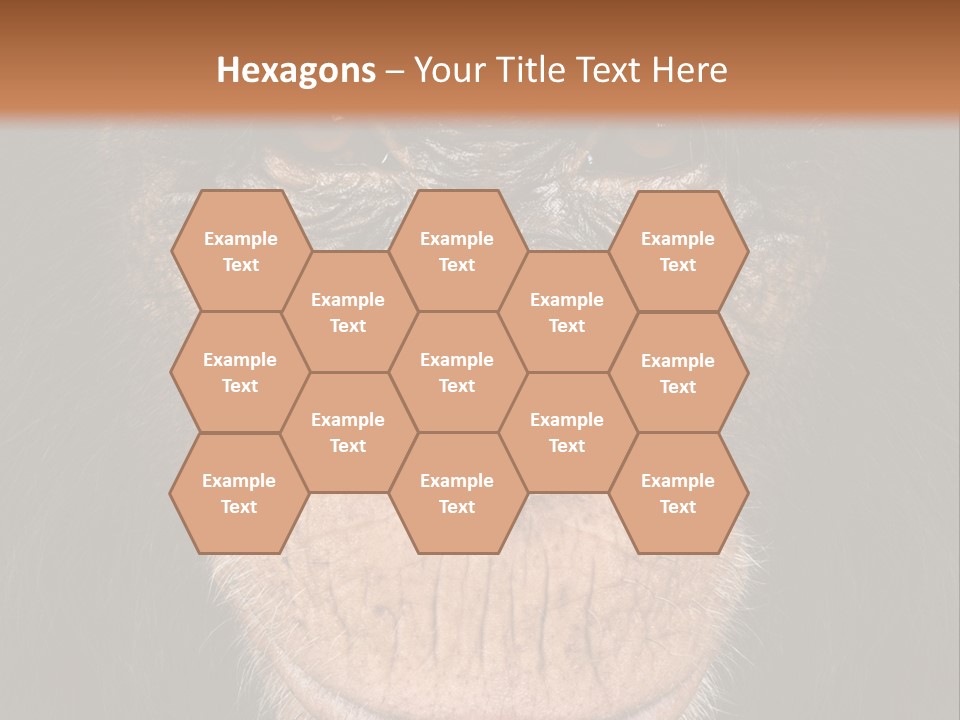 Close Up Cut Out Monkey PowerPoint Template