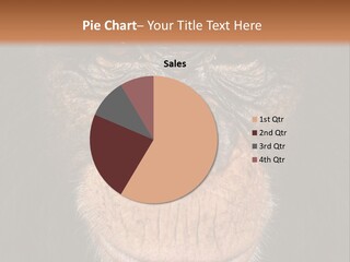 Close Up Cut Out Monkey PowerPoint Template