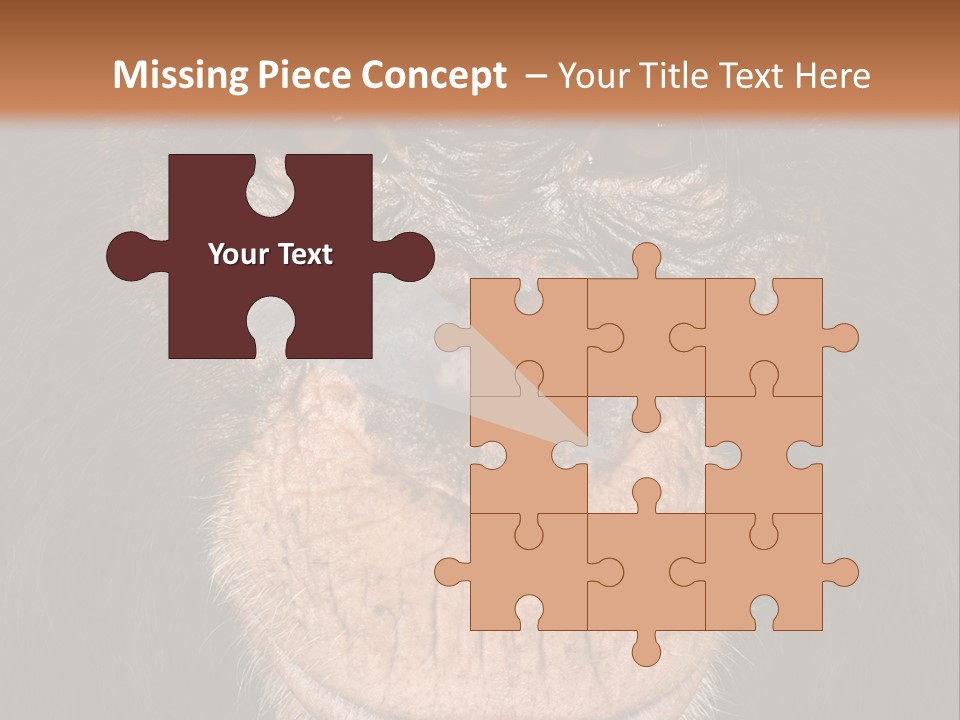 Close Up Cut Out Monkey PowerPoint Template