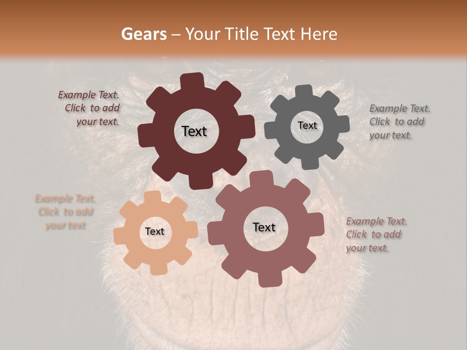 Close Up Cut Out Monkey PowerPoint Template