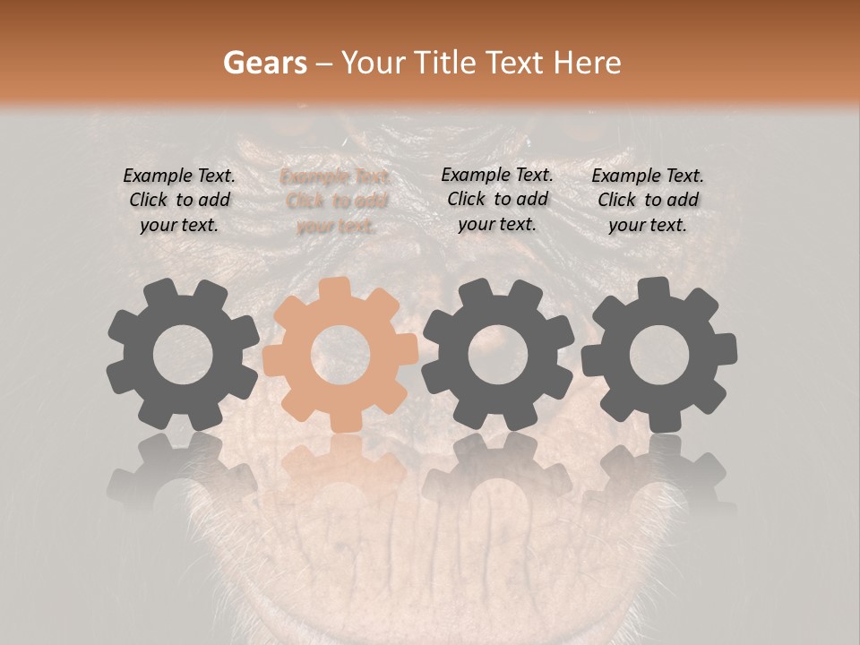 Close Up Cut Out Monkey PowerPoint Template