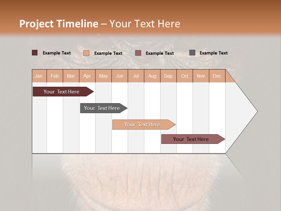 Close Up Cut Out Monkey PowerPoint Template