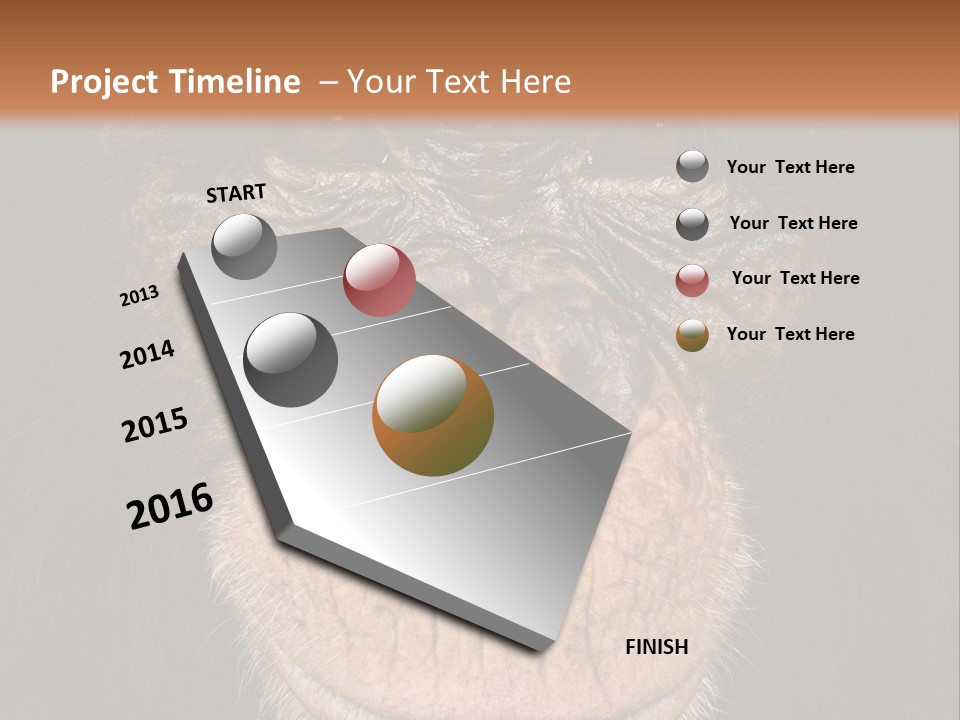 Close Up Cut Out Monkey PowerPoint Template