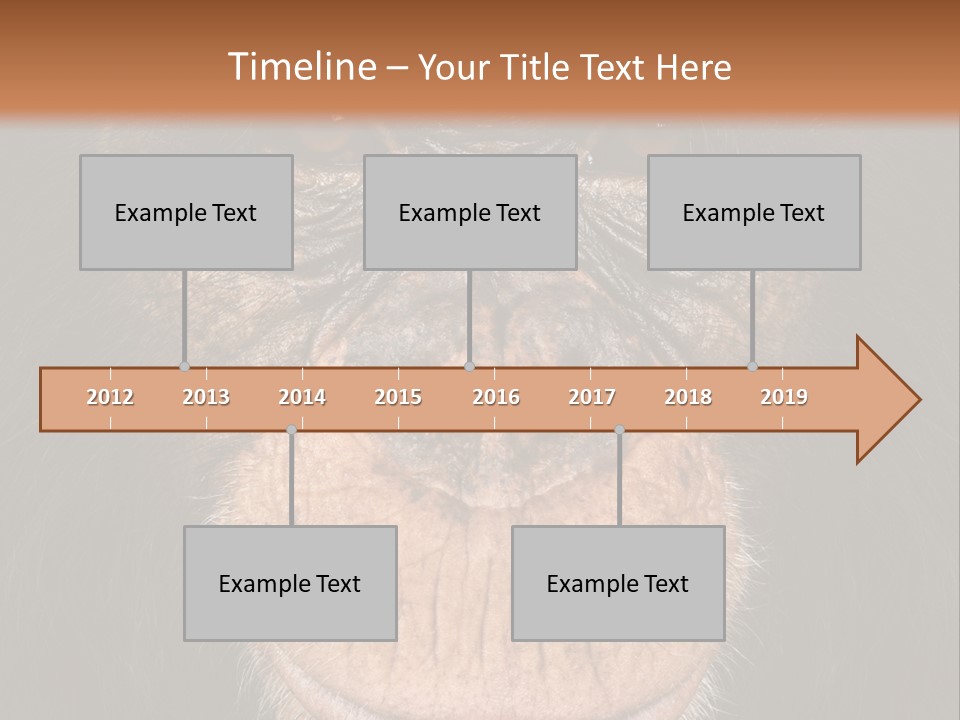 Close Up Cut Out Monkey PowerPoint Template