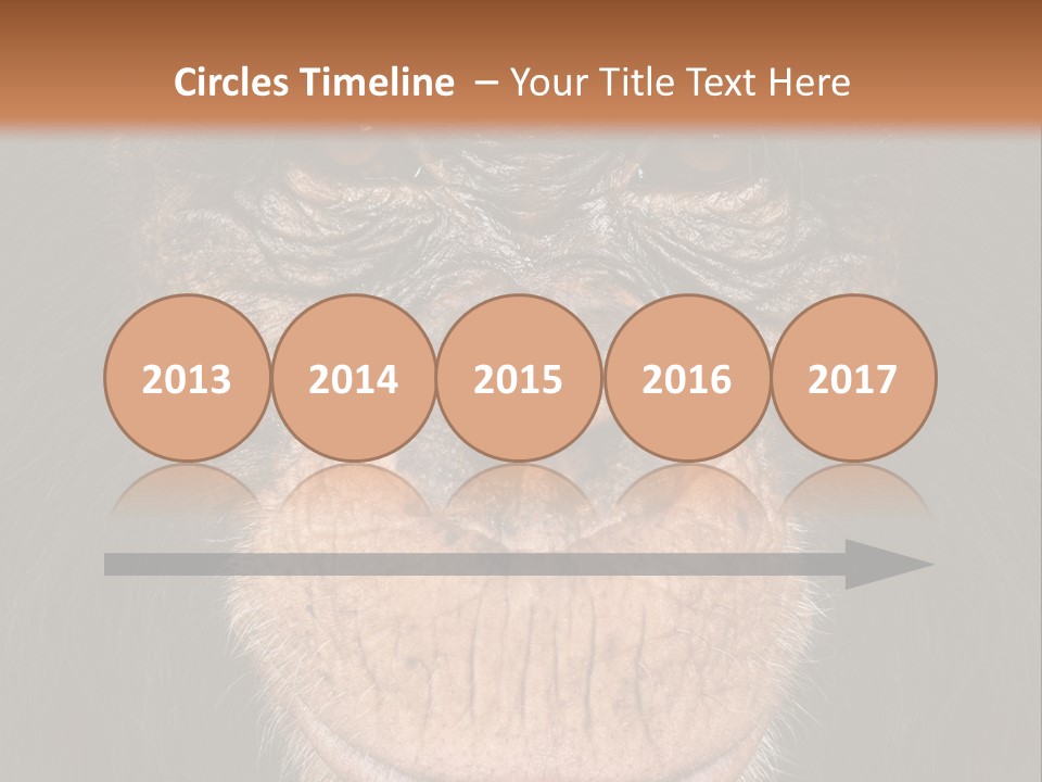 Close Up Cut Out Monkey PowerPoint Template