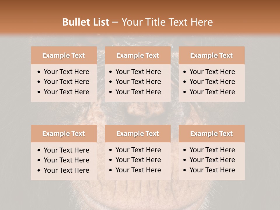 Close Up Cut Out Monkey PowerPoint Template