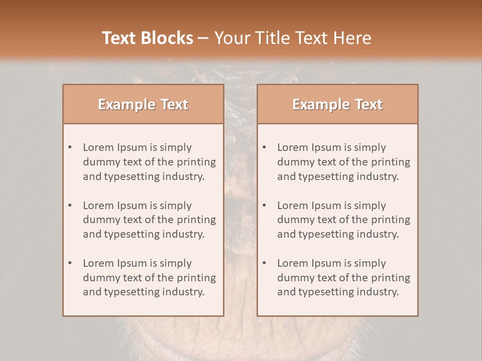 Close Up Cut Out Monkey PowerPoint Template