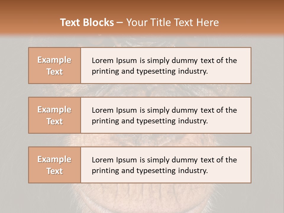 Close Up Cut Out Monkey PowerPoint Template