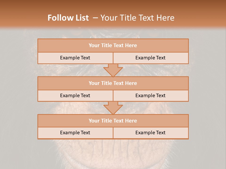 Close Up Cut Out Monkey PowerPoint Template