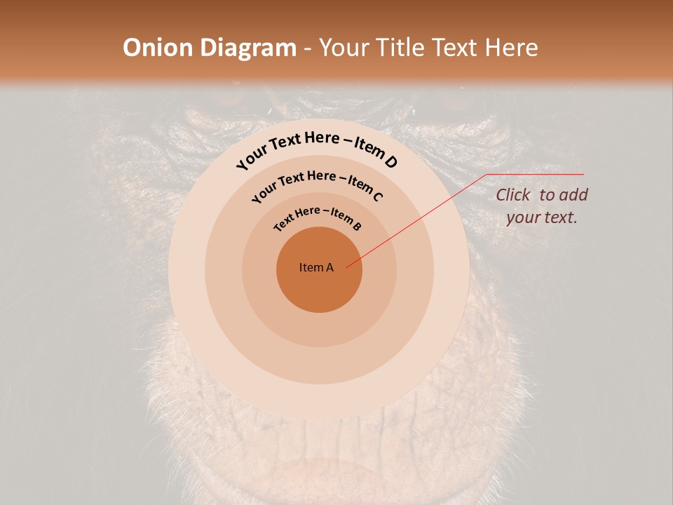 Close Up Cut Out Monkey PowerPoint Template