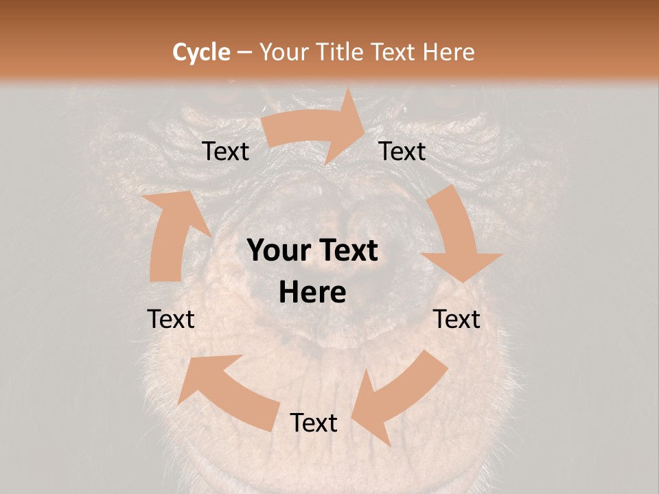 Close Up Cut Out Monkey PowerPoint Template