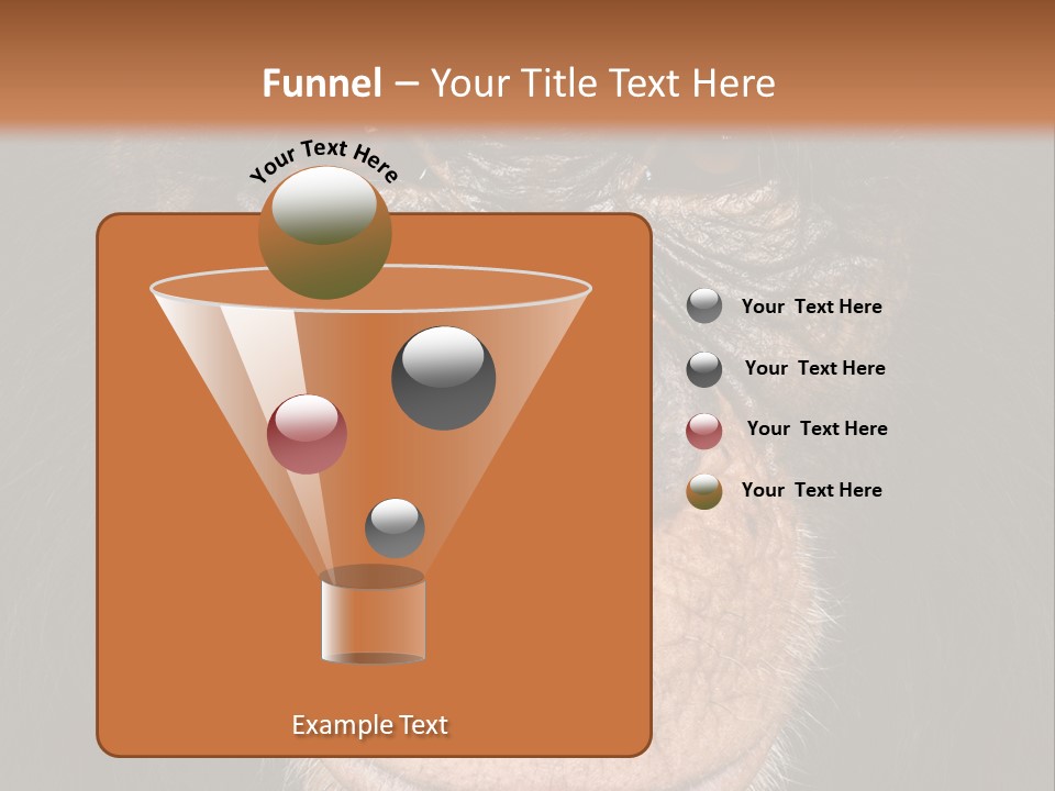 Close Up Cut Out Monkey PowerPoint Template