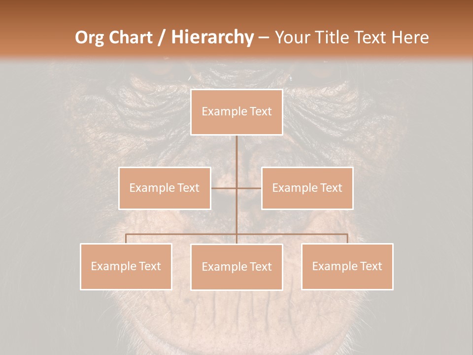 Close Up Cut Out Monkey PowerPoint Template