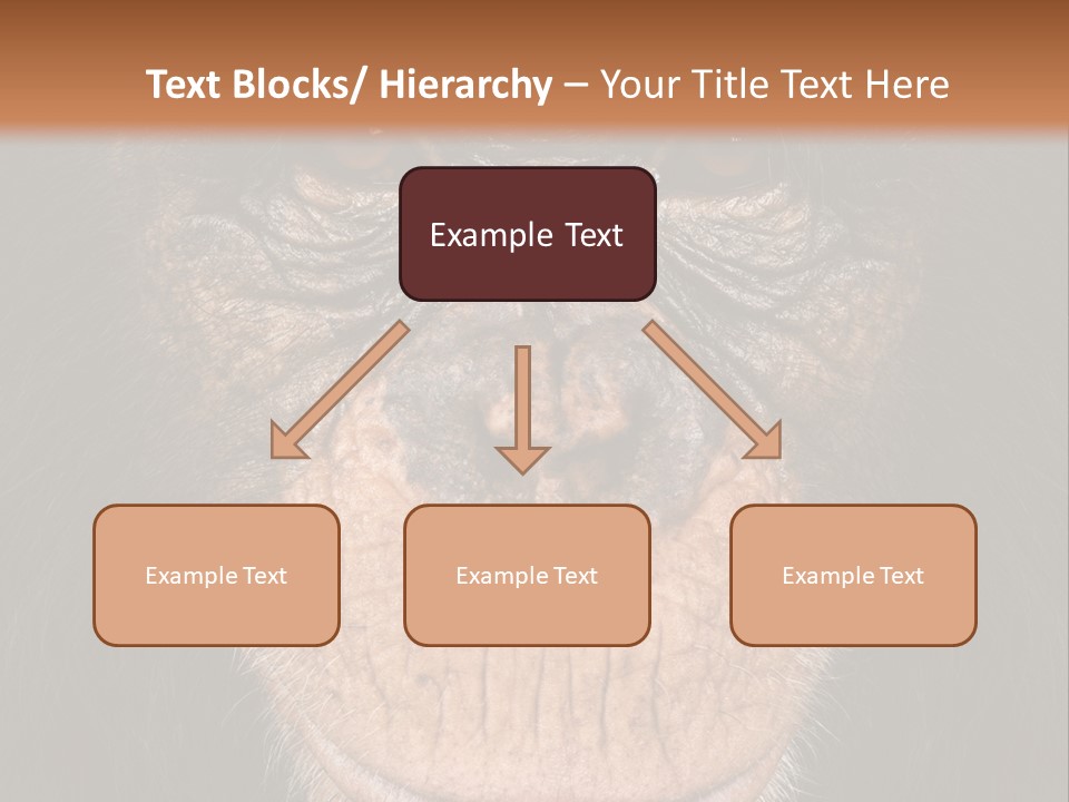 Close Up Cut Out Monkey PowerPoint Template
