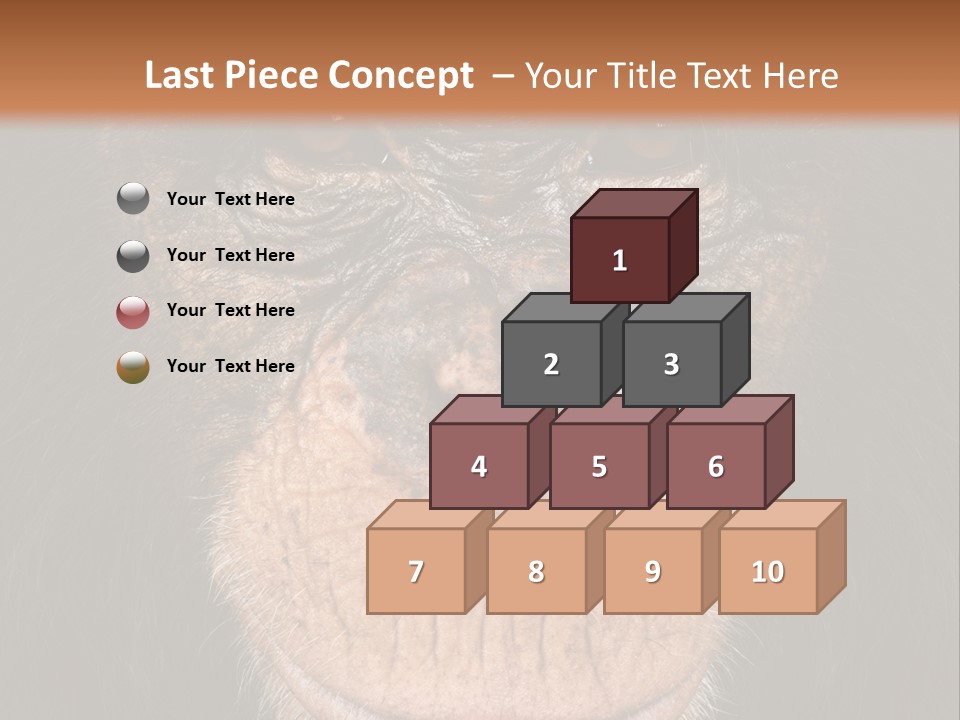 Close Up Cut Out Monkey PowerPoint Template