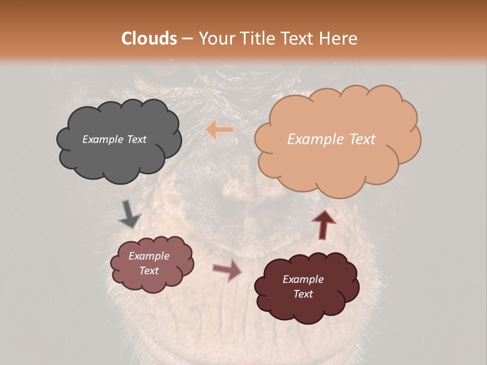 Close Up Cut Out Monkey PowerPoint Template