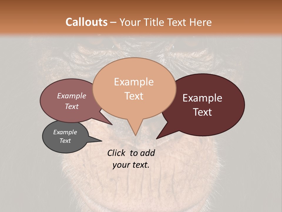 Close Up Cut Out Monkey PowerPoint Template