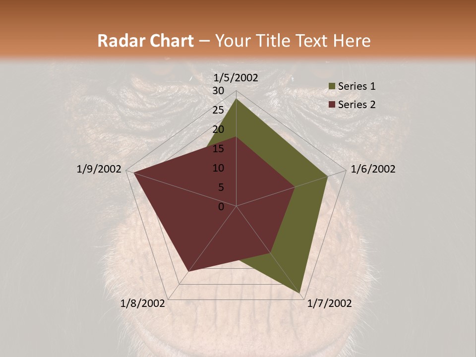 Close Up Cut Out Monkey PowerPoint Template